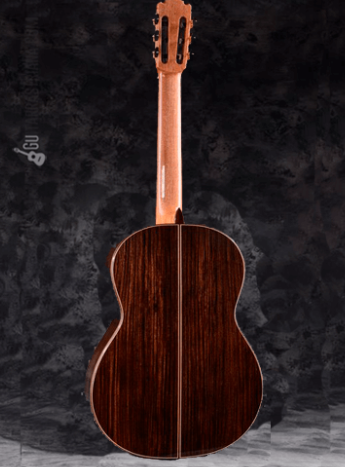 guitarra martinez 12.png