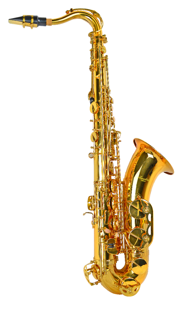 SAXO TENOR SIB AMADEUS TS910