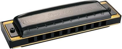 ARMONICA HOHNER PRO HARP F