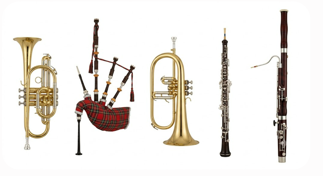 OTROS INSTRUMENTOS DE VIENTO