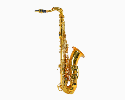 [TS910] SAXO TENOR SIB AMADEUS TS910