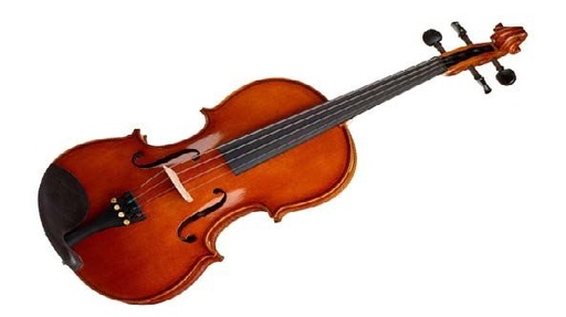 [AS160VA14] VIOLA HÖFNER 14"